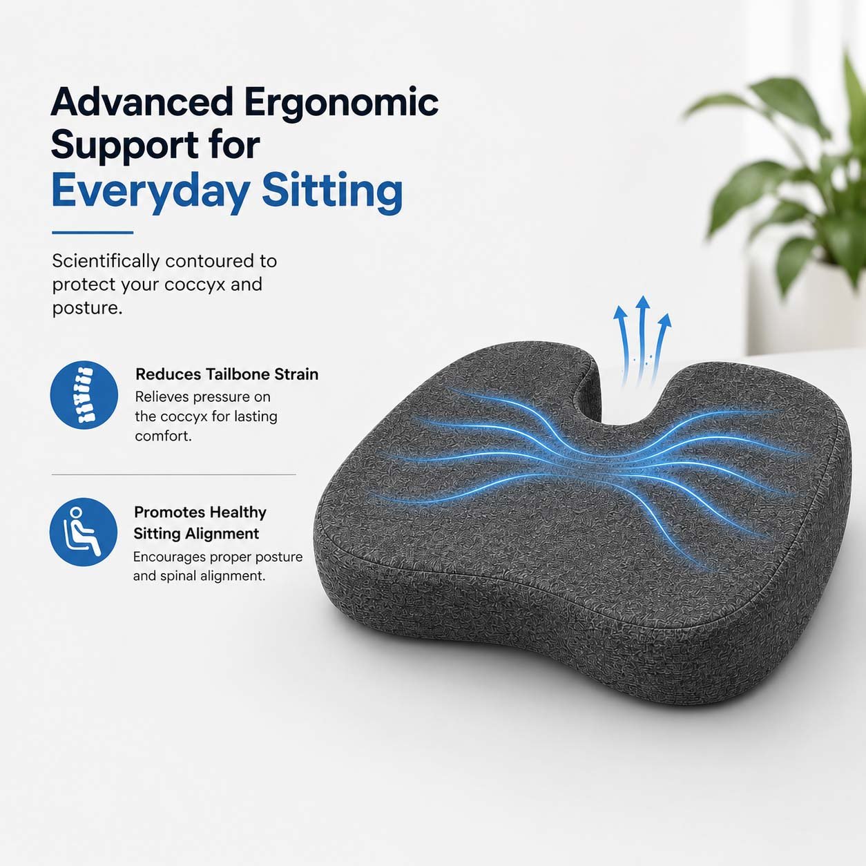 Tailbone Cushion